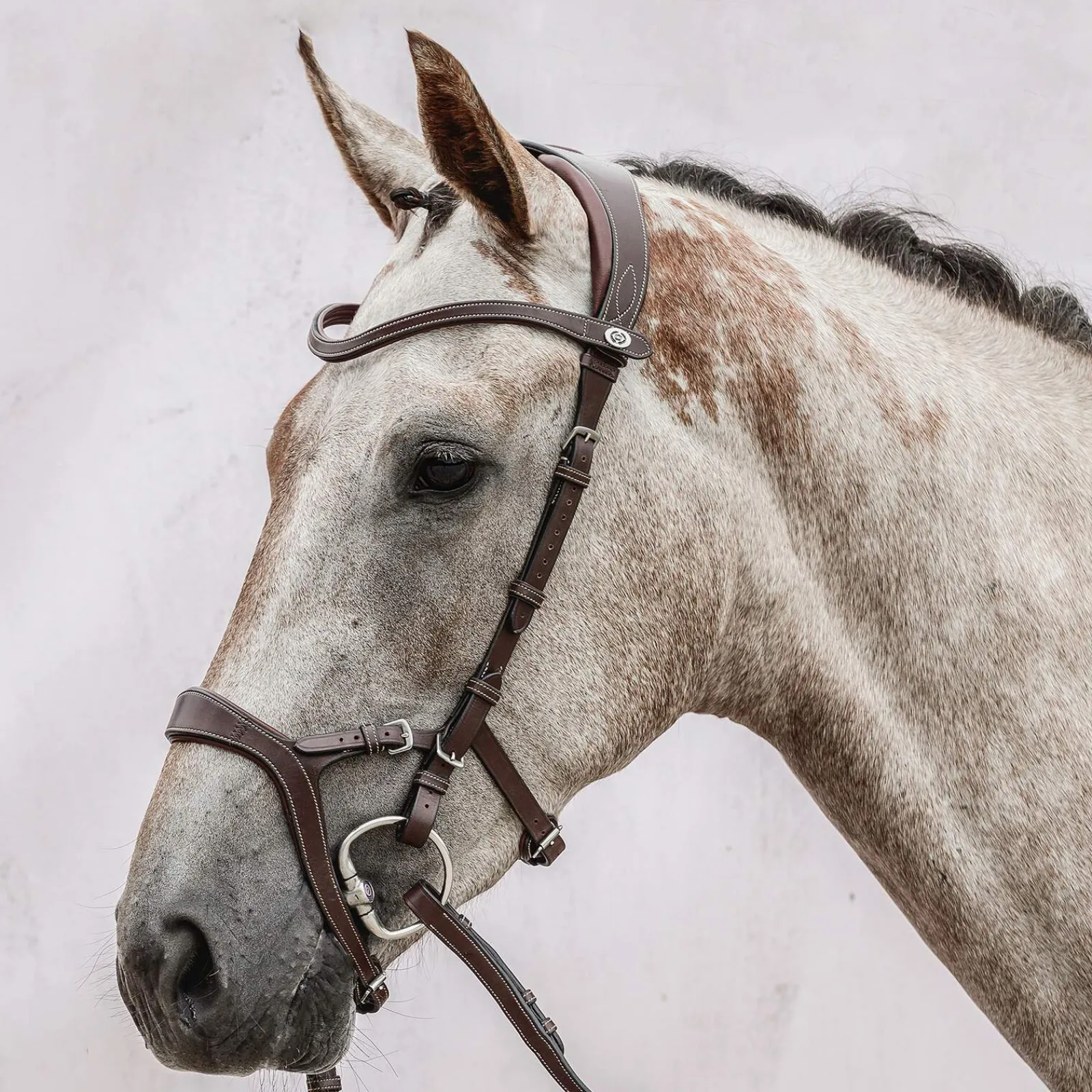 Fashion PS of Sweden bridle Nirak Pony Bridles & Halters|Bridles & Nosebands