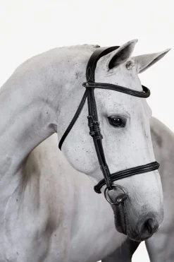New PS of Sweden Bridle Ocala Bridles & Nosebands