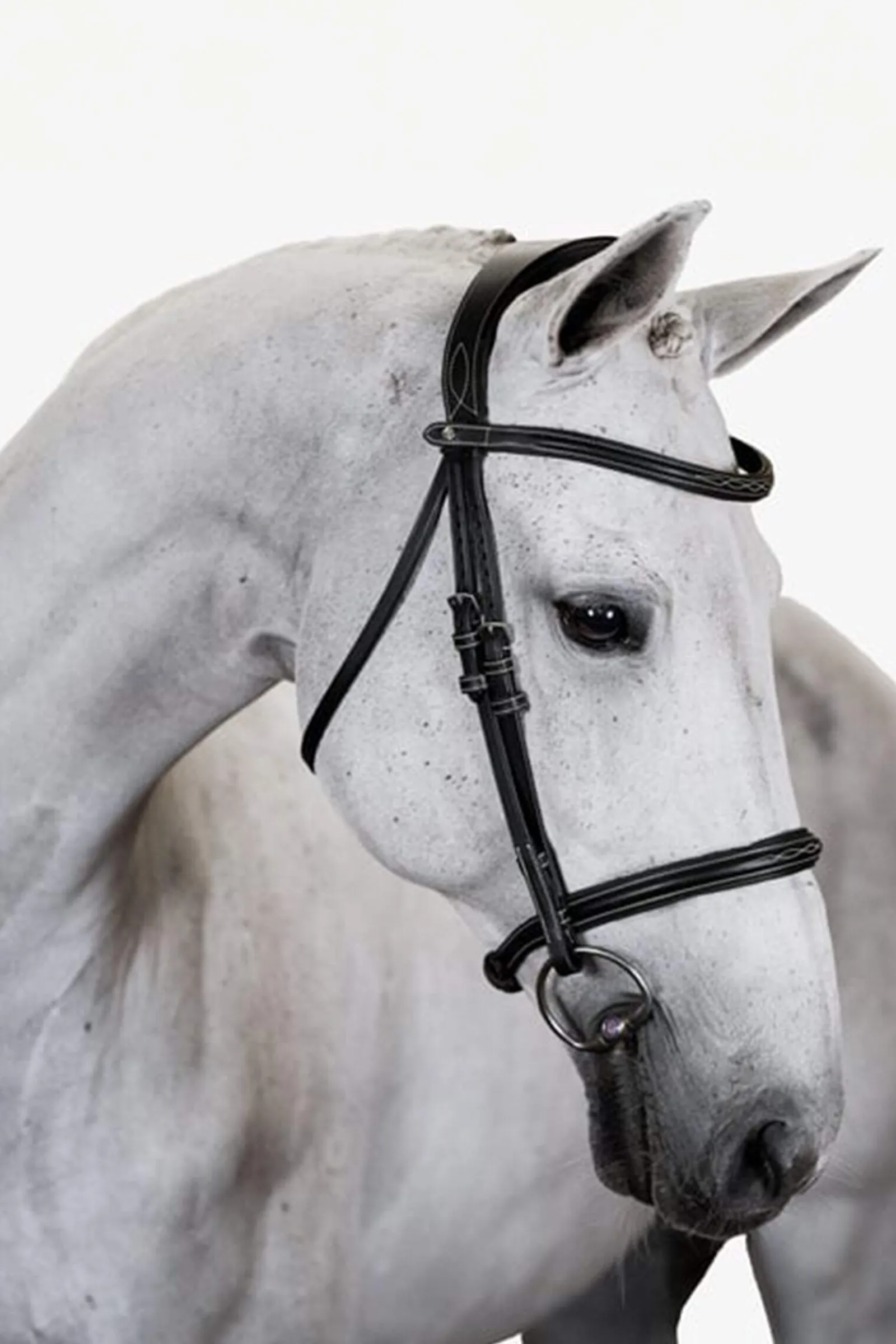 New PS of Sweden Bridle Ocala Bridles & Nosebands