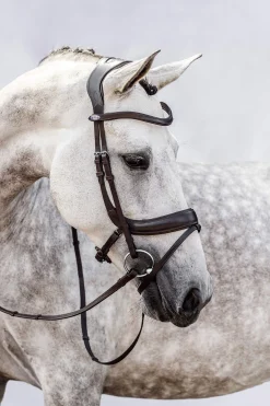 Clearance PS of Sweden bridle Paladin Bridles & Nosebands