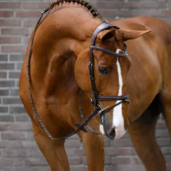 Best PS of Sweden bridle Stockholm Pony Bridles & Halters|Bridles & Nosebands