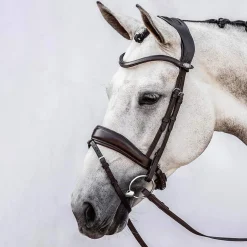 Online PS of Sweden Flying Change Bridle Pony Bridles & Halters|Bridles & Nosebands