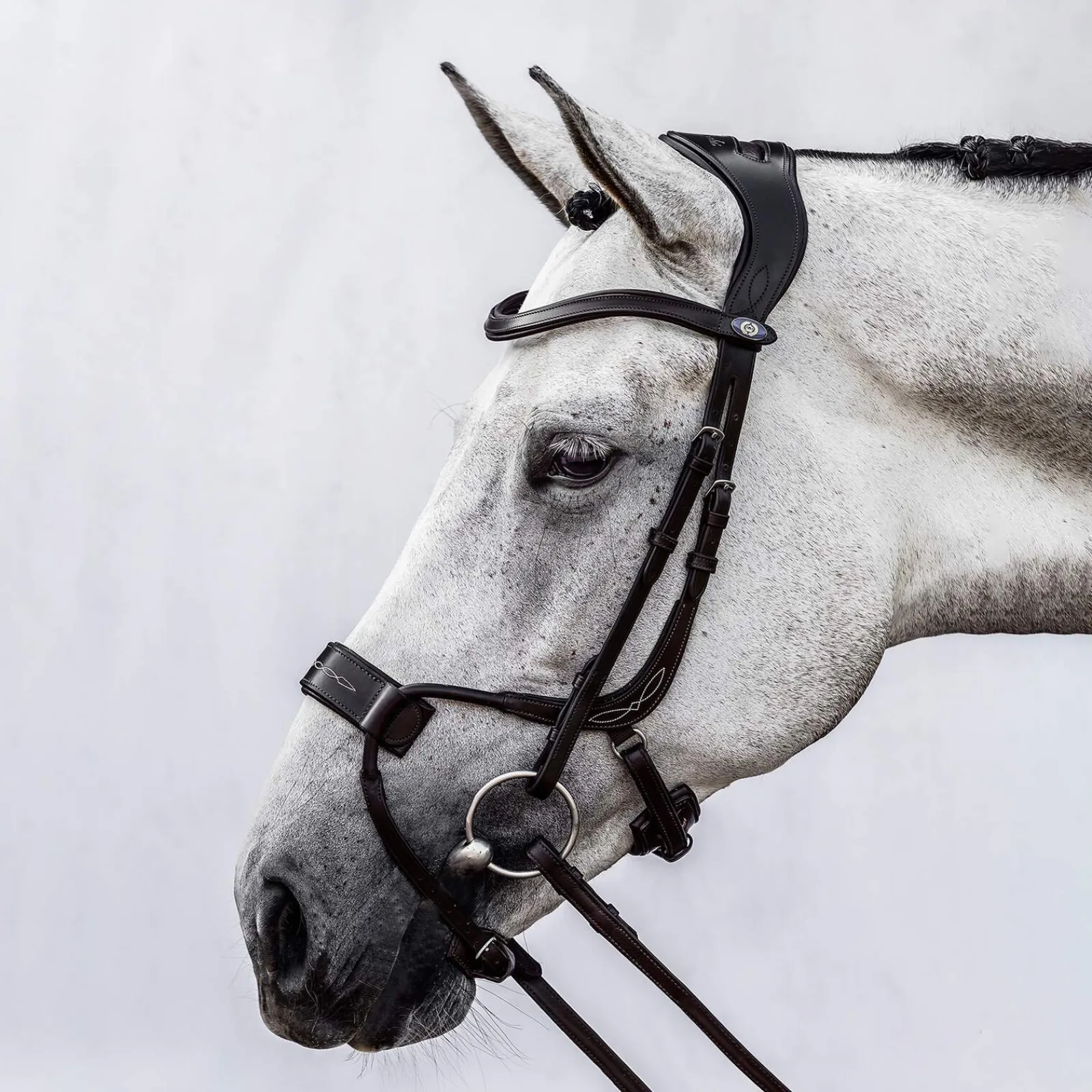 Best PS of Sweden High Jump Bridle Pony Bridles & Halters|Bridles & Nosebands