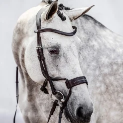 Best PS of Sweden High Jump Bridle Pony Bridles & Halters|Bridles & Nosebands