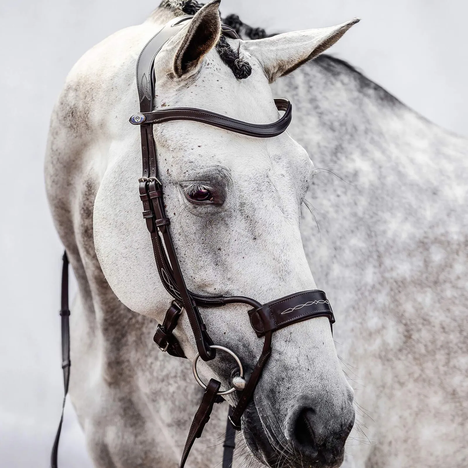Best PS of Sweden High Jump Bridle Pony Bridles & Halters|Bridles & Nosebands