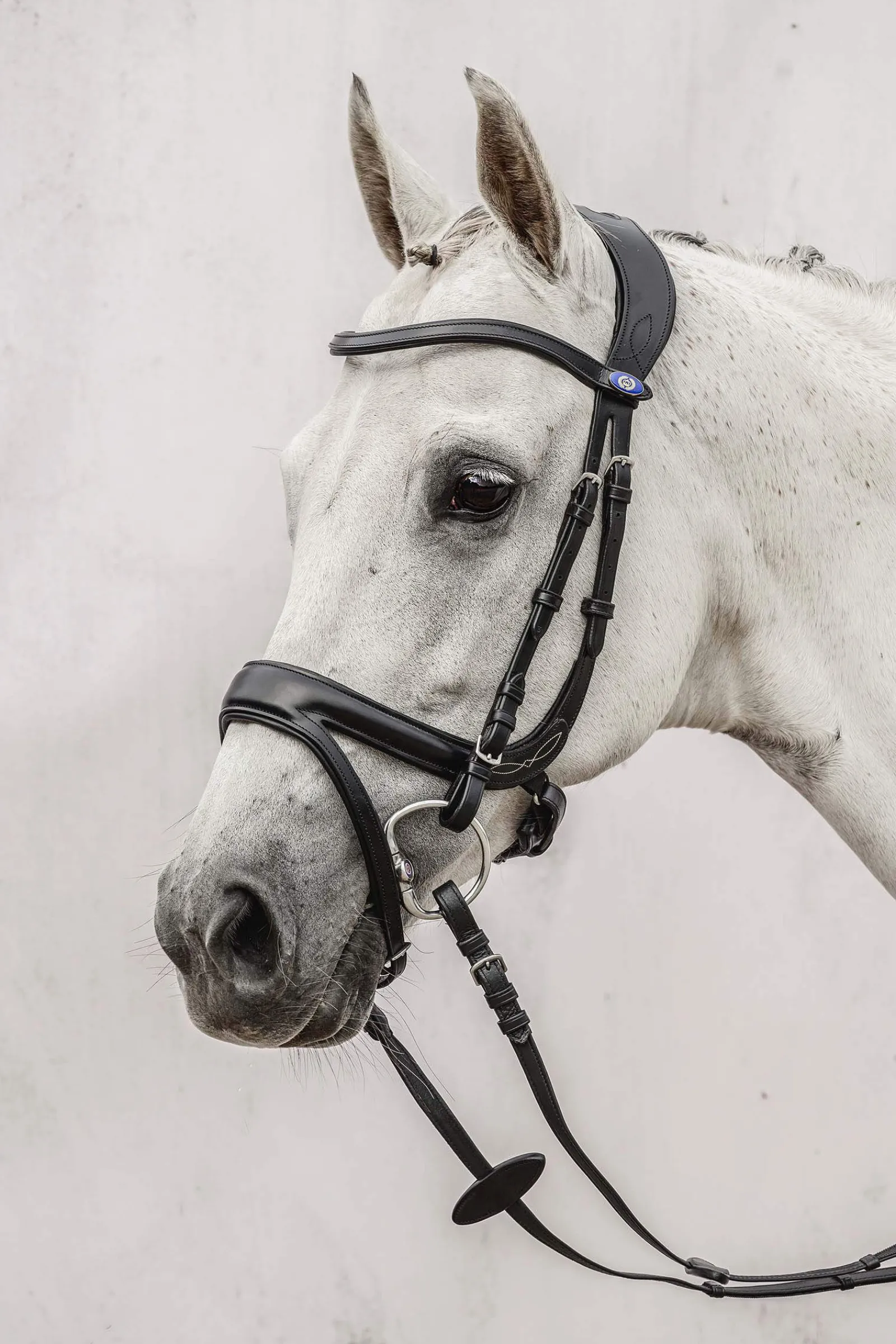 Online PS of Sweden Jump Off Bridle Pony Bridles & Halters|Bridles & Nosebands