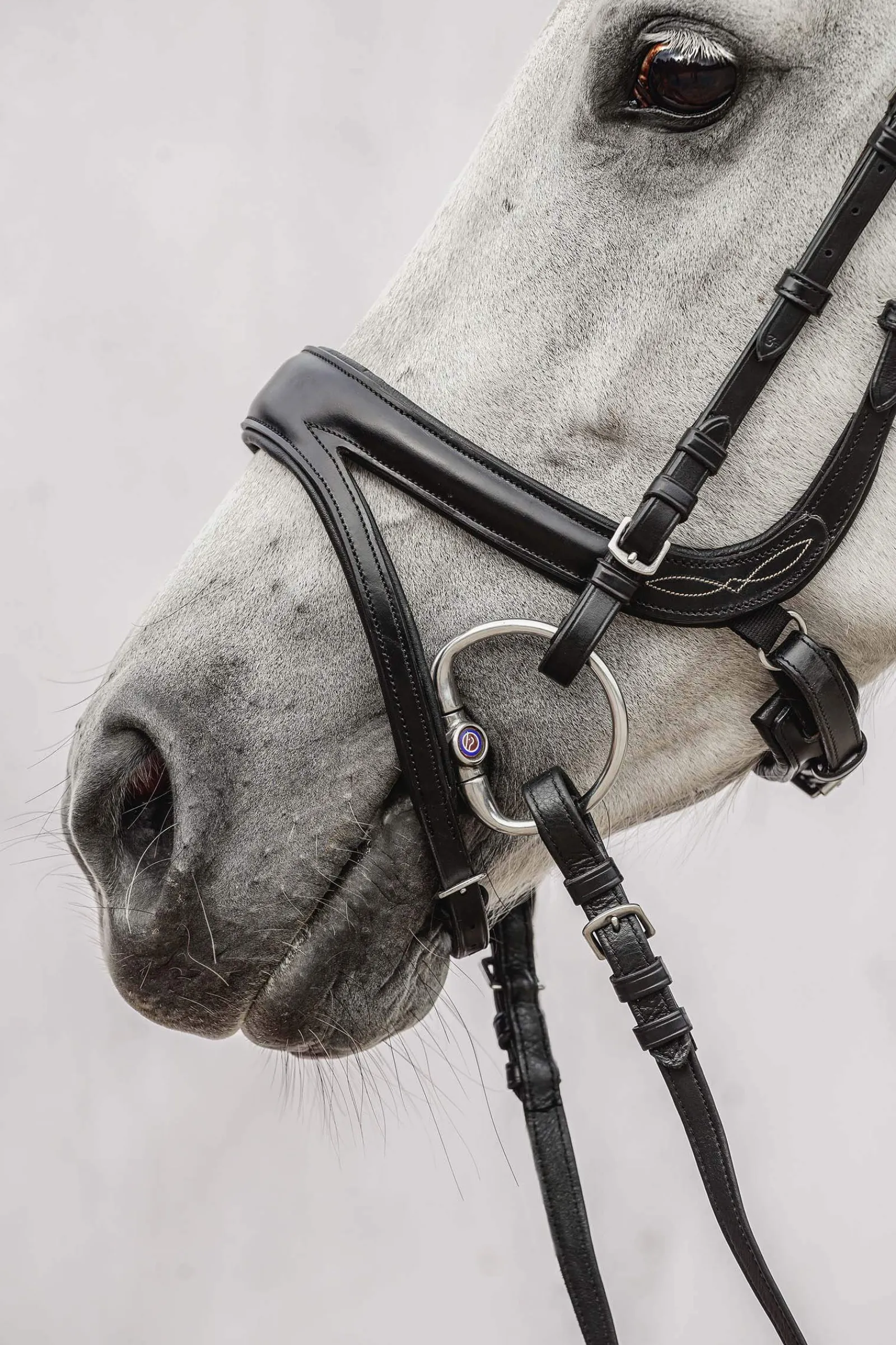 Online PS of Sweden Jump Off Bridle Pony Bridles & Halters|Bridles & Nosebands