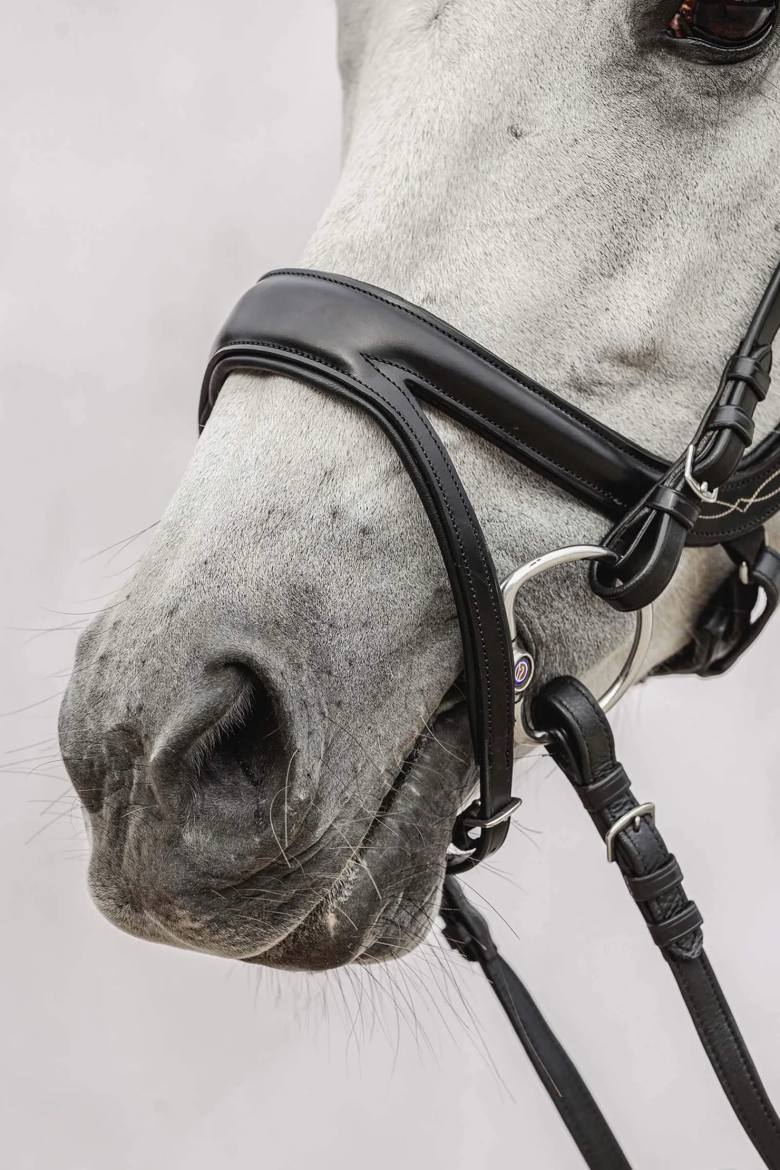 Online PS of Sweden Jump Off Bridle Pony Bridles & Halters|Bridles & Nosebands