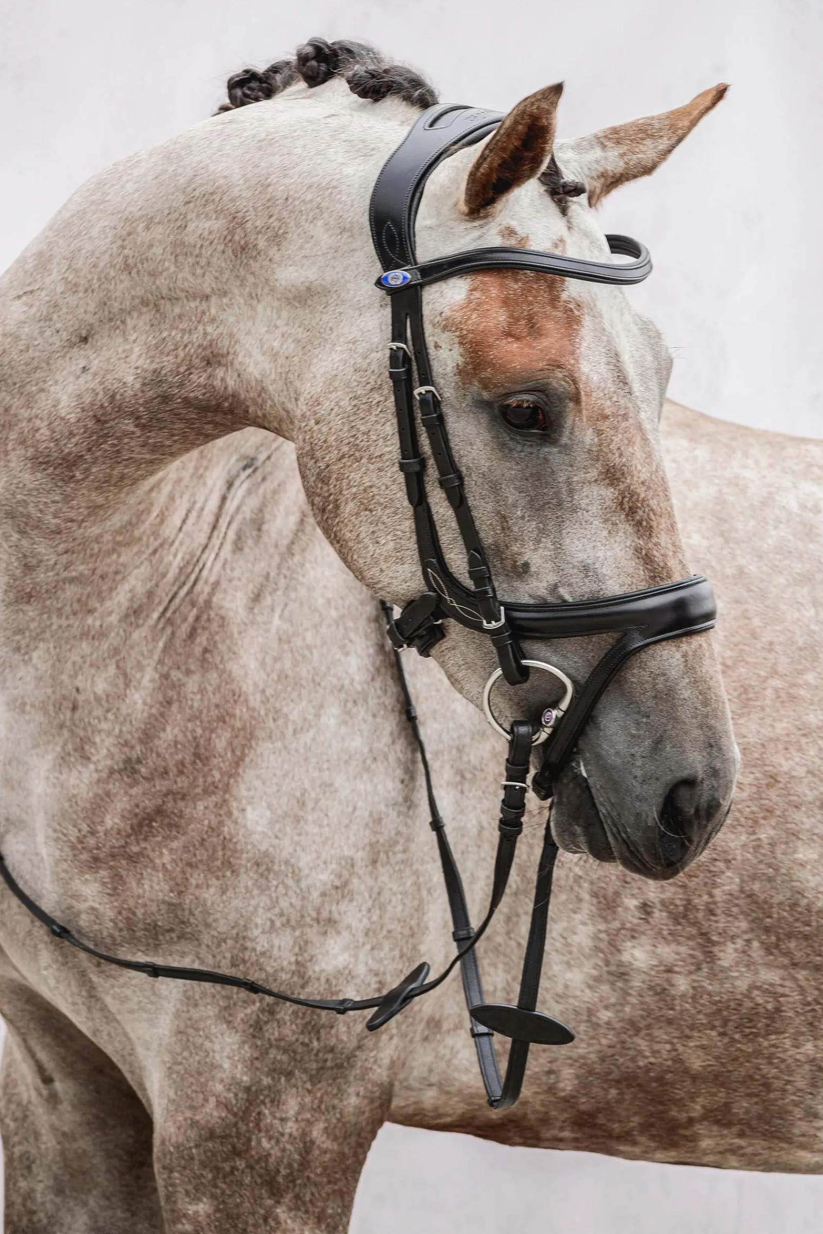 Online PS of Sweden Jump Off Bridle Pony Bridles & Halters|Bridles & Nosebands