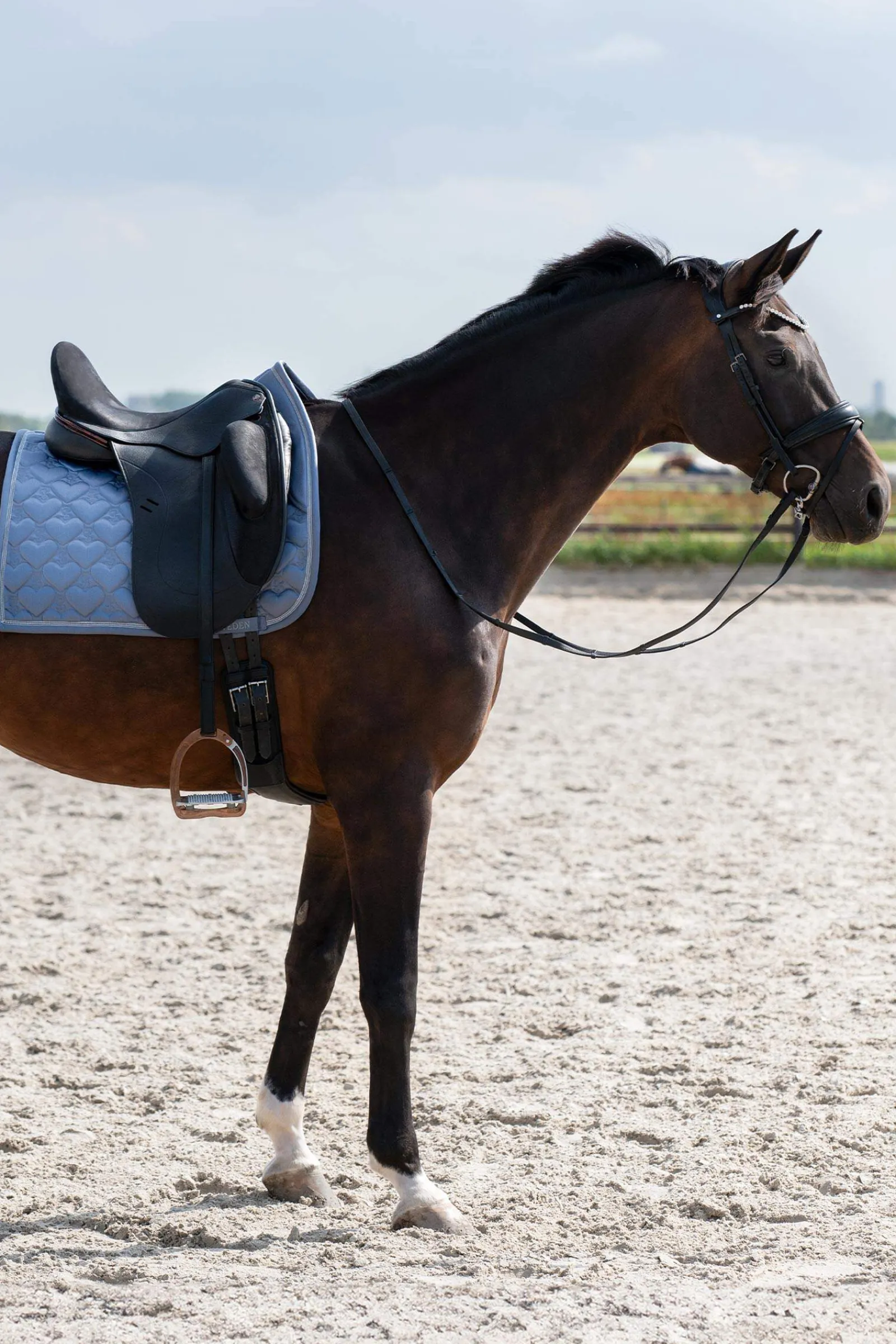 Outlet PS of Sweden Saddle Pad Heart Dressage Dressage Saddle Pads
