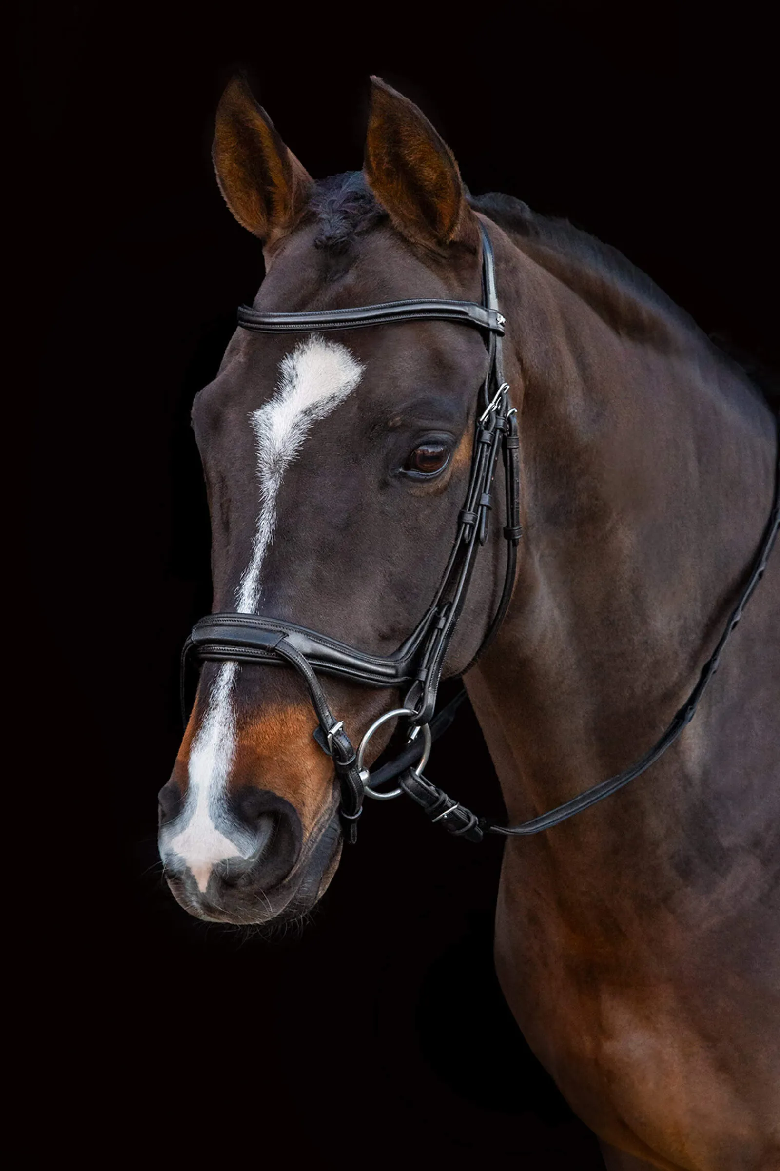 Outlet Schockemöhle Sports Ancona Select Bridle Pony Bridles & Halters|Bridles & Nosebands
