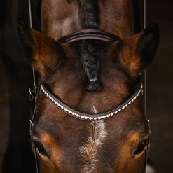 Best Schockemöhle Sports Brantford Bridle Pony Bridles & Halters|Bridles & Nosebands