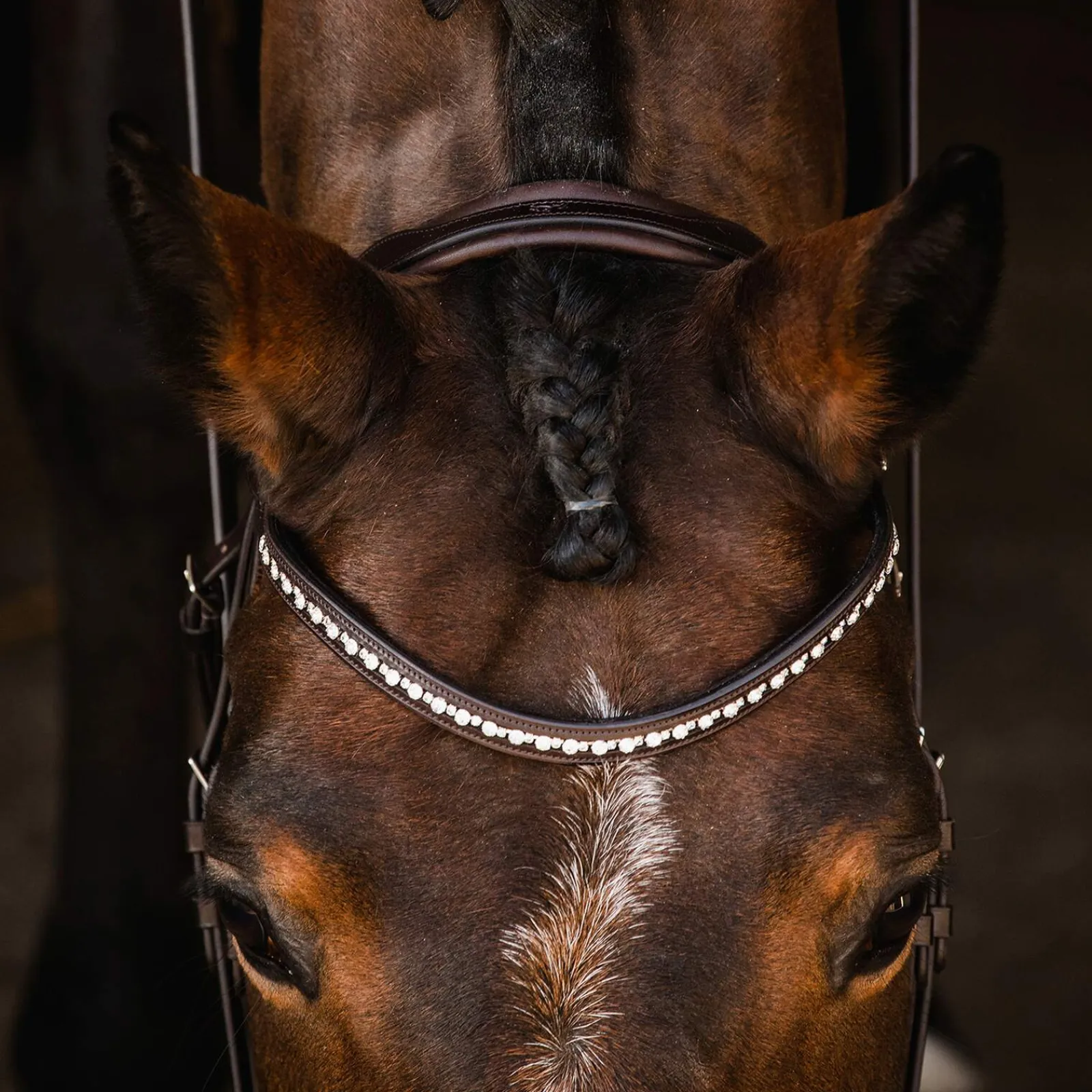 Best Schockemöhle Sports Brantford Bridle Pony Bridles & Halters|Bridles & Nosebands