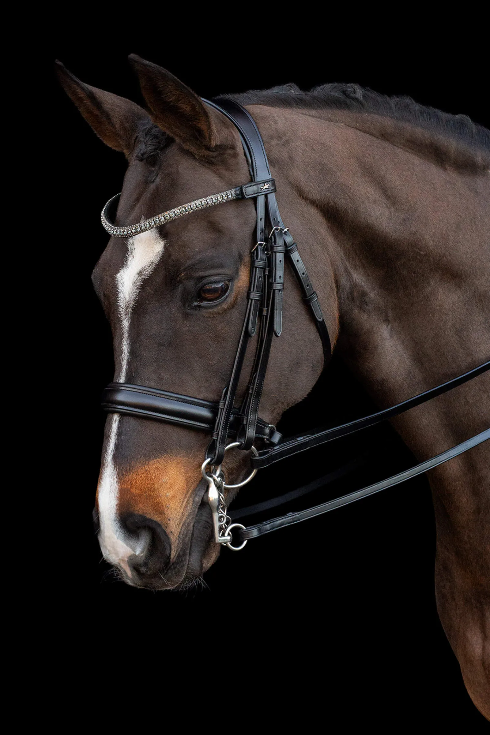 Outlet Schockemöhle Sports Brindisi Double Bridle Bridles & Nosebands