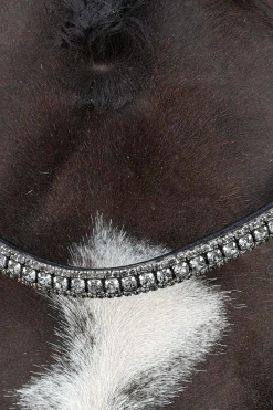 Outlet Schockemöhle Sports Brindisi Double Bridle Bridles & Nosebands