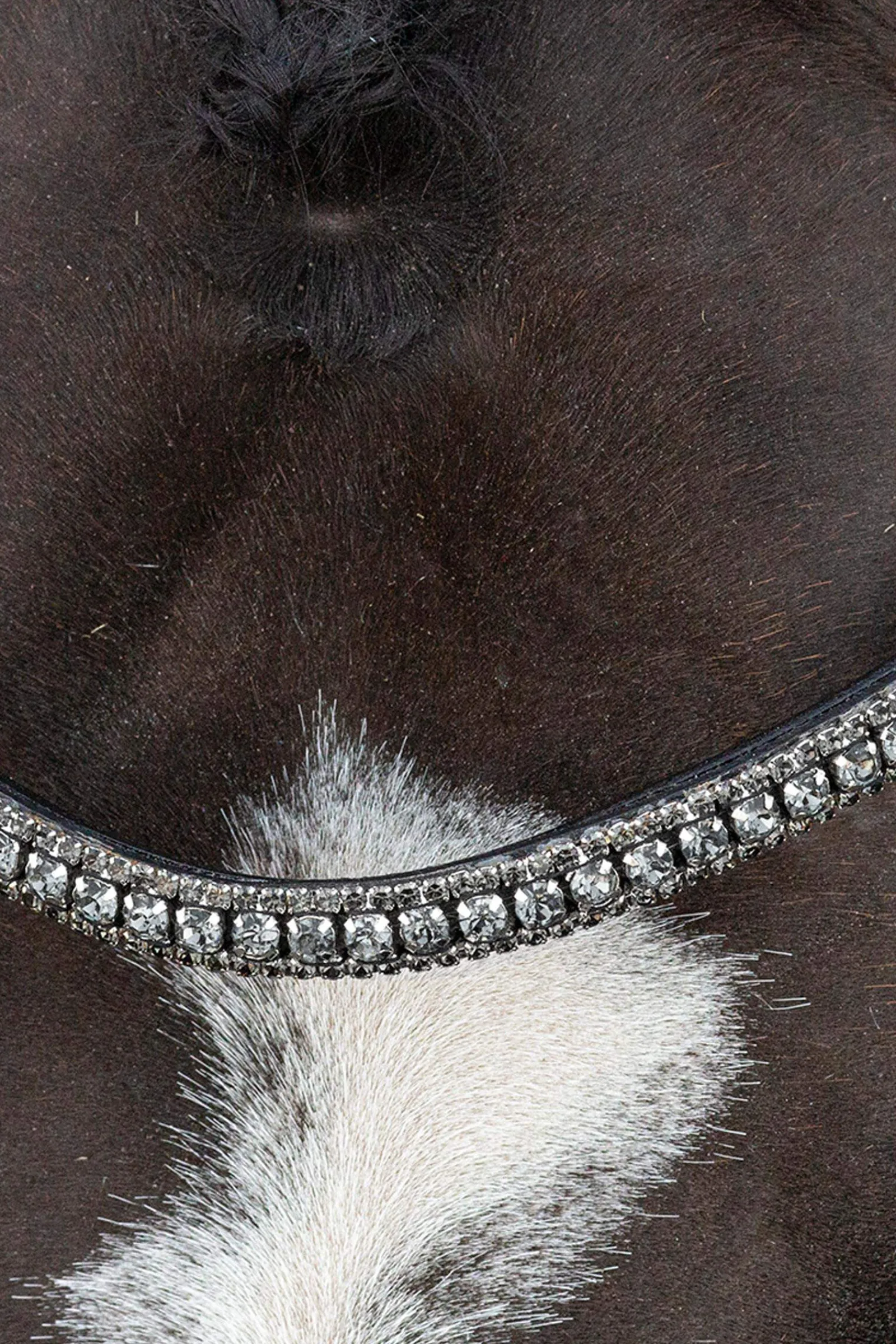 Outlet Schockemöhle Sports Brindisi Double Bridle Bridles & Nosebands