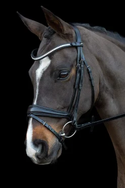 Hot Schockemöhle Sports Charleston Bridle Pony Bridles & Halters|Bridles & Nosebands