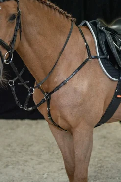 Best Schockemöhle Sports Como Breastplate Breastplates