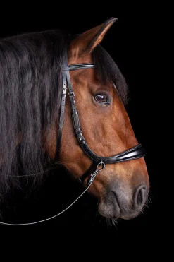 New Schockemöhle Sports Equitus Theta 3in1 Bridle Bridles & Nosebands