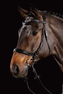 Outlet Schockemöhle Sports Equitus Delta Bridle Pony Bridles & Halters|Bridles & Nosebands