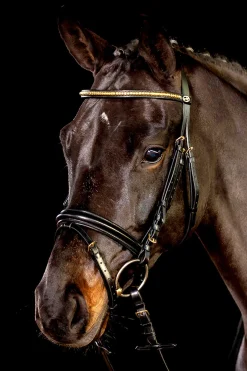 Clearance Schockemöhle Sports Heidelberg Bridle Pony Bridles & Halters|Bridles & Nosebands