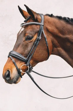 Sale Schockemöhle Sports Malibu Anatomical Dressage Bridle Pony Bridles & Halters|Bridles & Nosebands