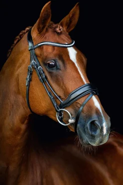 Sale Schockemöhle Sports Malibu Anatomical Dressage Bridle Pony Bridles & Halters|Bridles & Nosebands