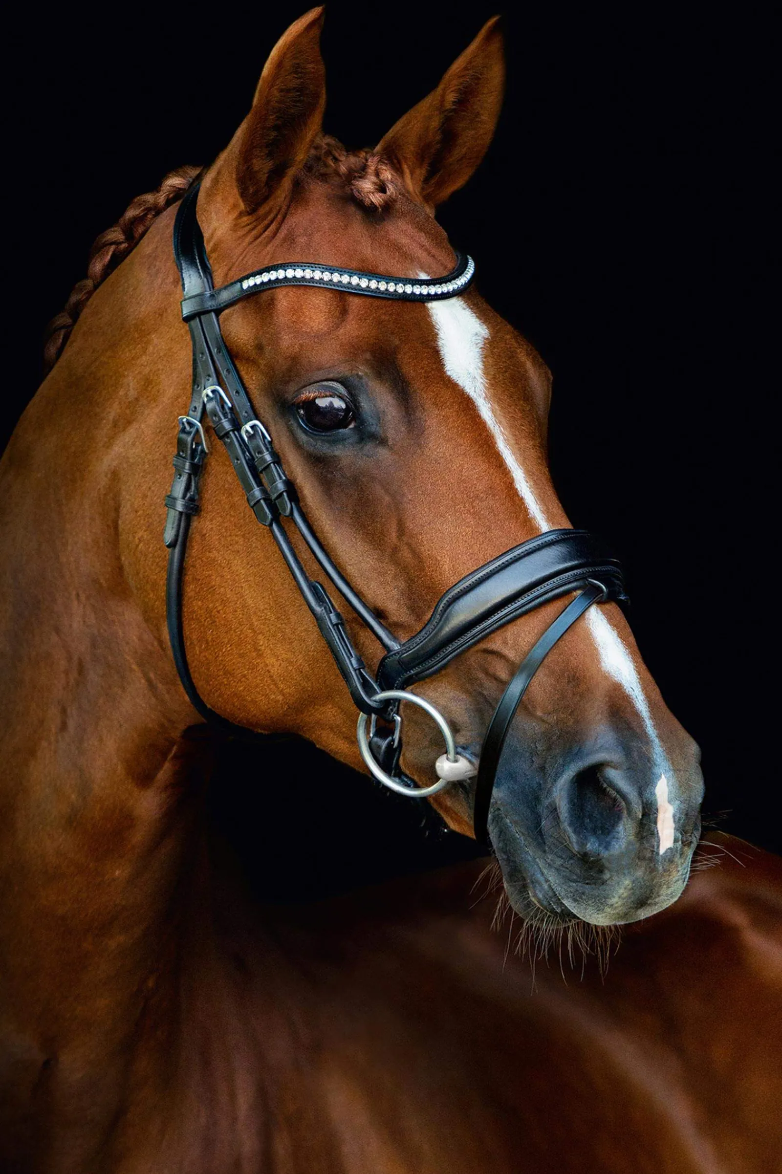 Sale Schockemöhle Sports Malibu Anatomical Dressage Bridle Pony Bridles & Halters|Bridles & Nosebands