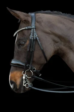 Clearance Schockemöhle Sports Milazzo Double Bridle Bridles & Nosebands