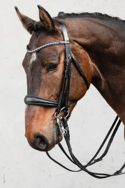 New Schockemöhle Sports Milton Anatomic  Double Bridle Bridles & Nosebands