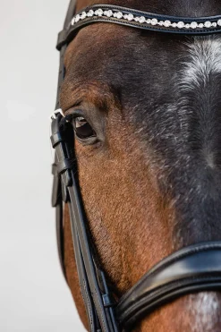 New Schockemöhle Sports Milton Anatomic Double Bridle Bridles & Nosebands