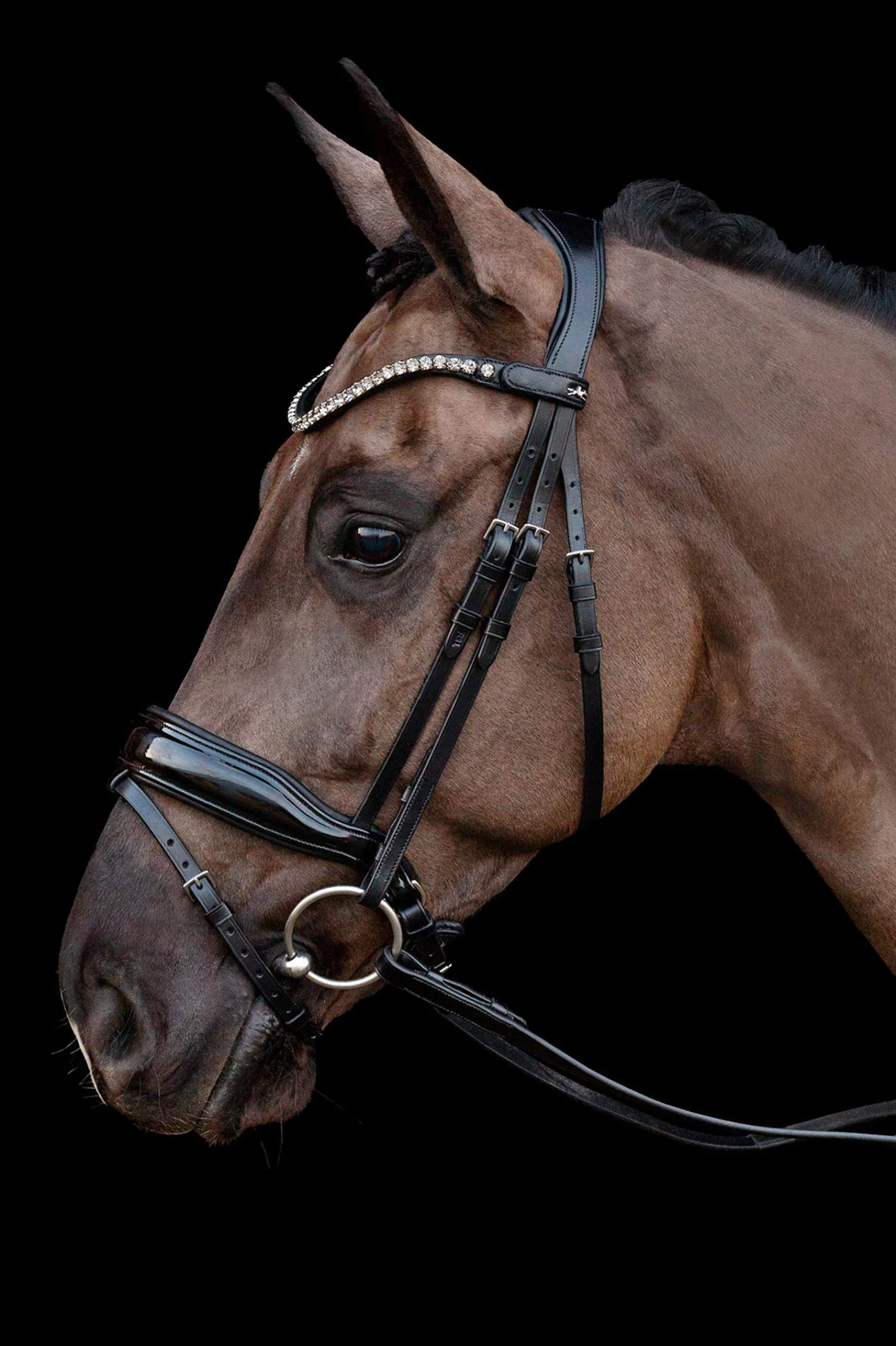 Discount Schockemöhle Sports Siena Bridle Pony Bridles & Halters|Bridles & Nosebands