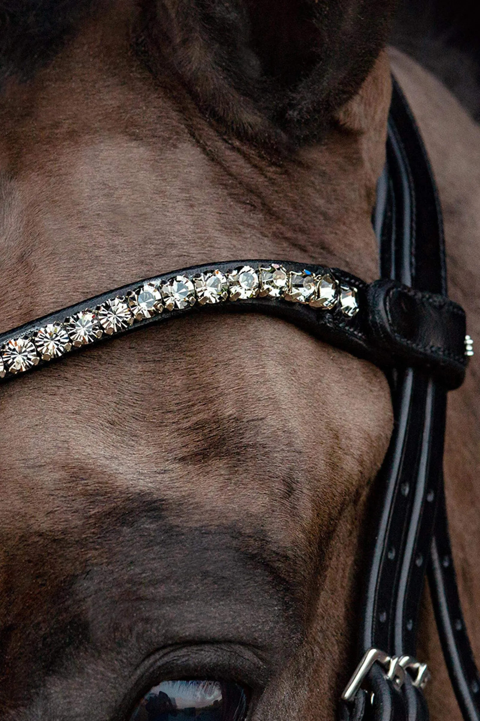 Discount Schockemöhle Sports Siena Bridle Pony Bridles & Halters|Bridles & Nosebands