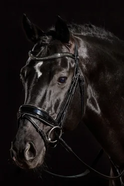 Discount Schockemöhle Sports Stanford Glam Bridle Pony Bridles & Halters|Bridles & Nosebands