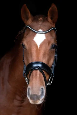Online Schockemöhle Sports Stanford Anatomical Bridle Bridles & Nosebands