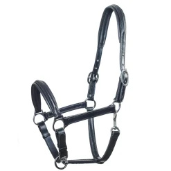 Best Schockemöhle Sports Ulm, Leather halter Leather Headcollars