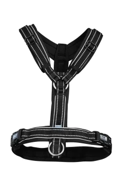 Sale Foal Harness Headcollars & Halters