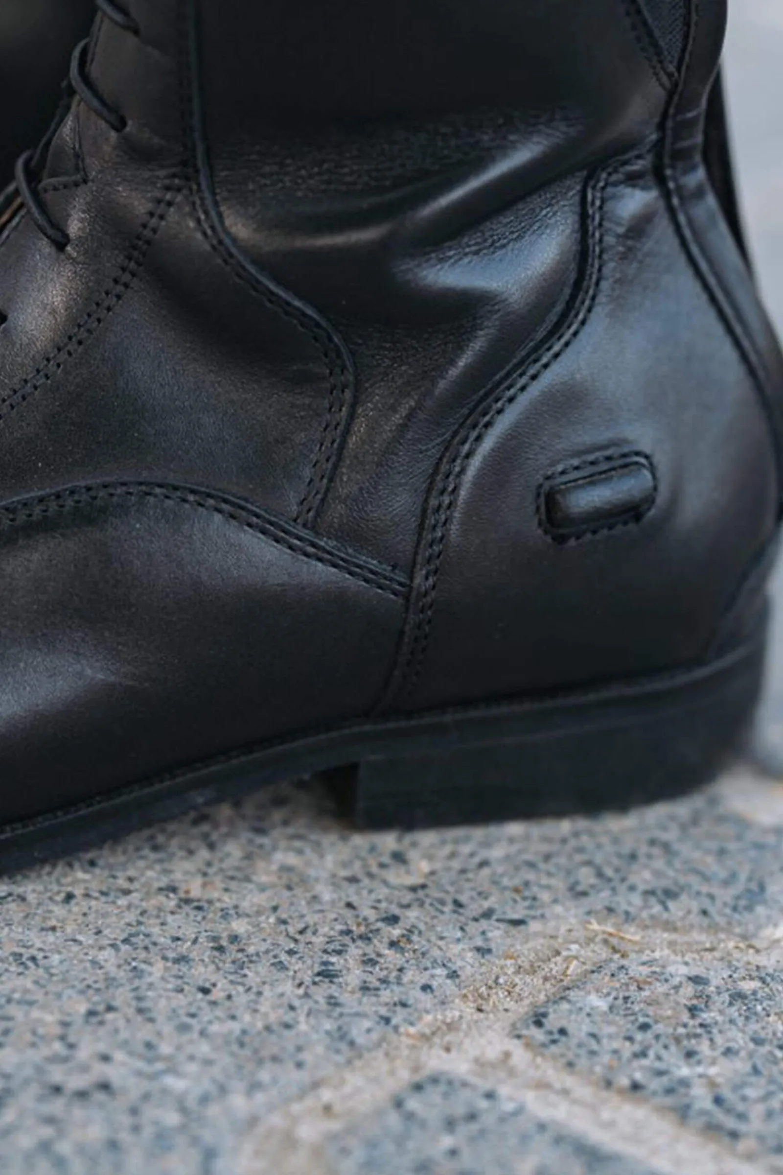 Hot Suedwind Footwear Florentina Tall Riding Boots Riding Boots