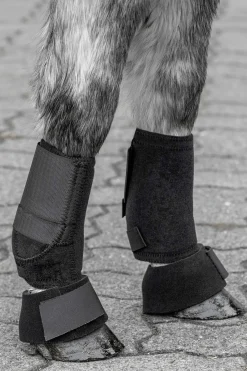 New Shetty Exercise Boots Fetlock Boots