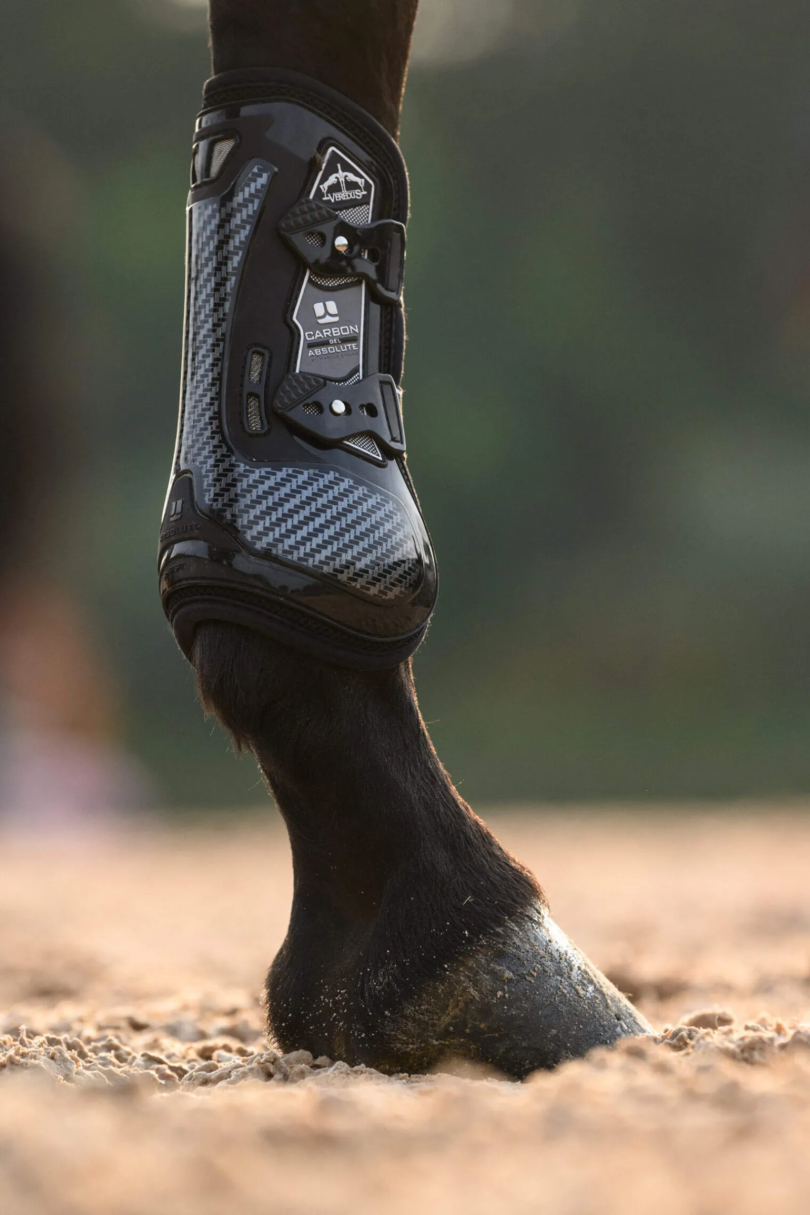Fashion Carbon Gel Absolute Tendon Boots Horse Boots