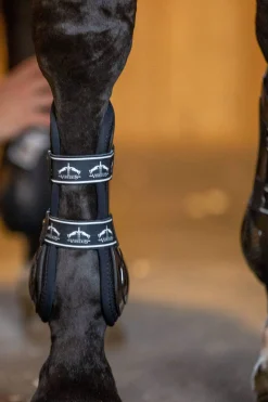 Fashion Carbon Gel Absolute Tendon Boots Horse Boots