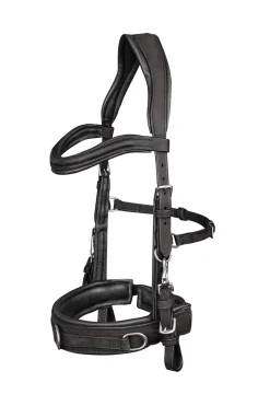 Clearance Anatomic Cavesson Lunging Cavessons|Lunging Cavessons