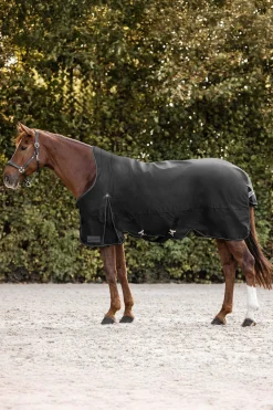 Best Arctic Turnout Rug With High Neck, 0g Lightweight Turnout Rugs