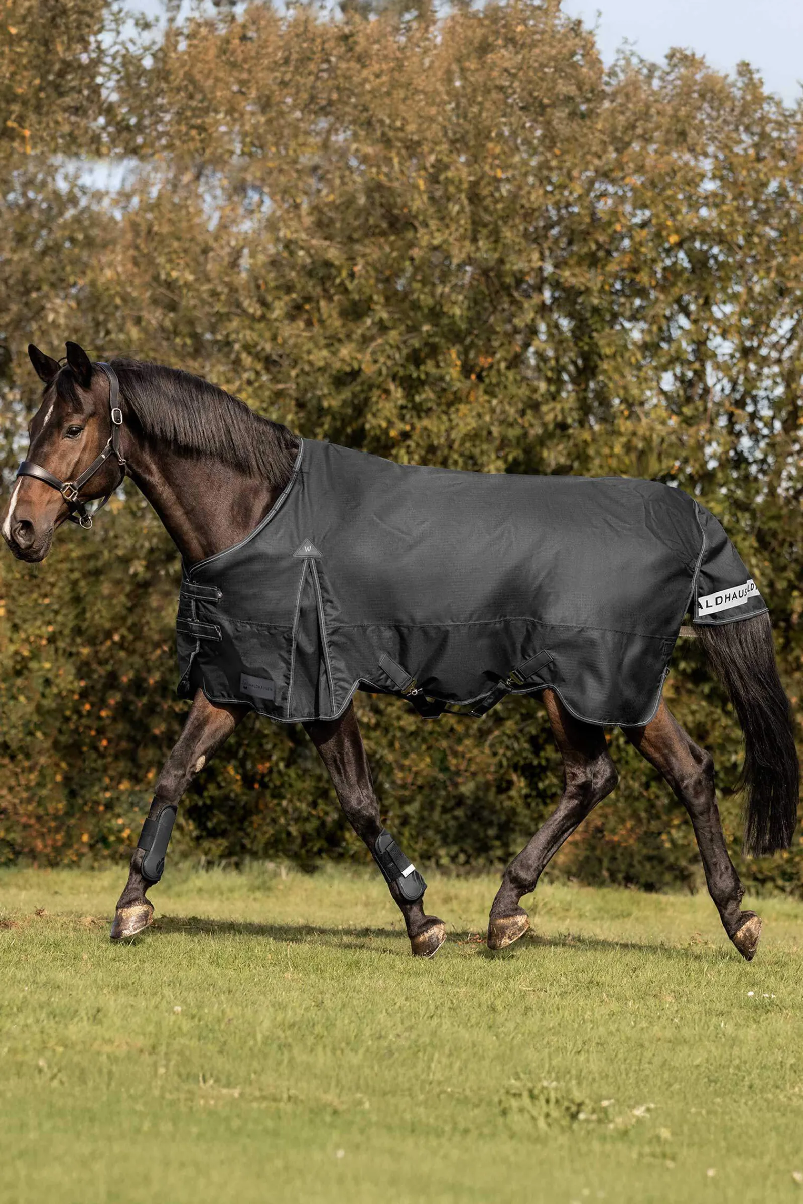 Online Arctic Turnout Rug, 50g Lightweight Turnout Rugs
