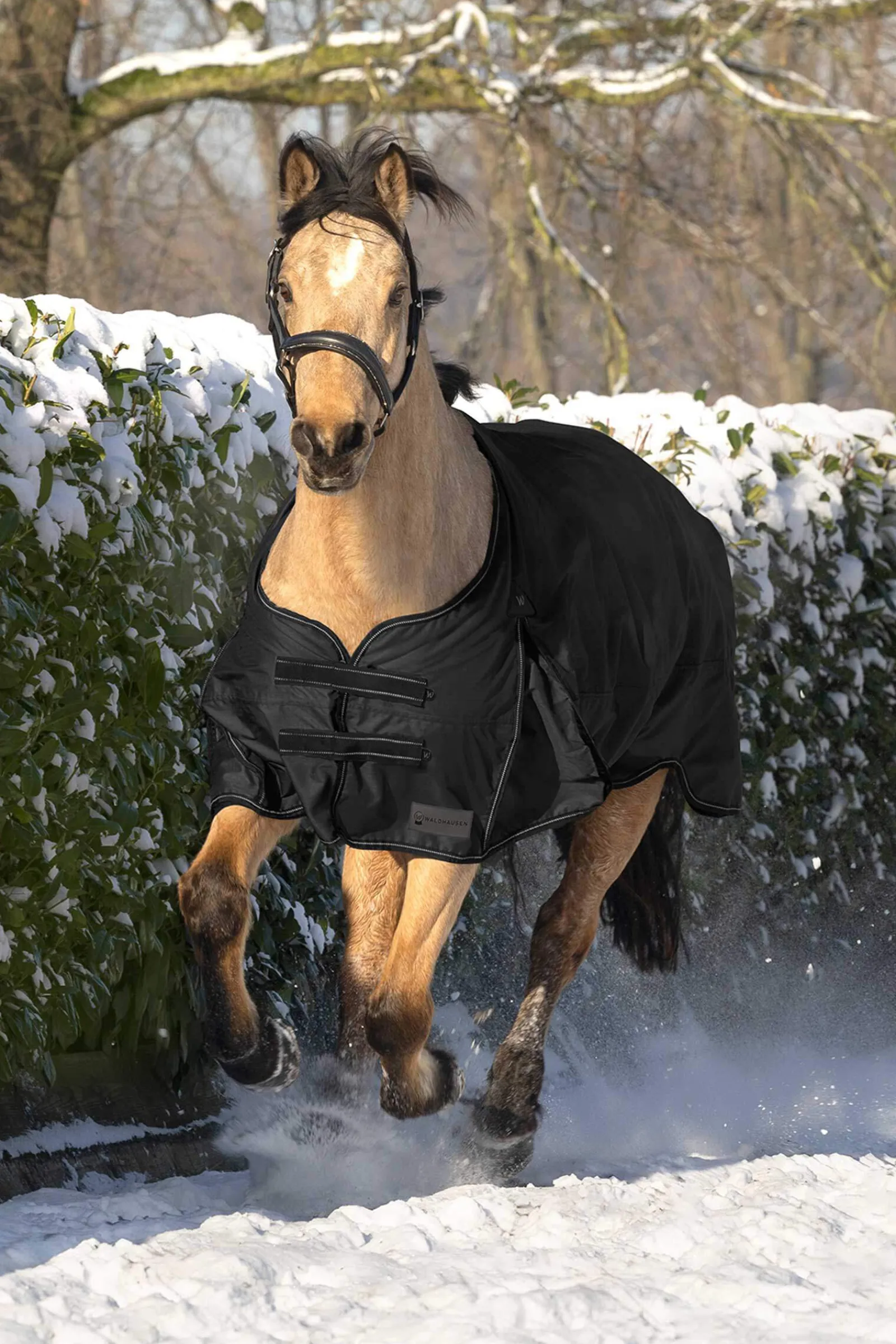 Online Arctic Turnout Rug, 50g Lightweight Turnout Rugs