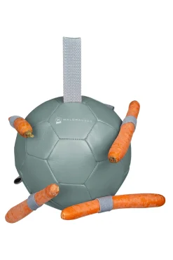 Clearance Carrot Ball Arena Equipment & Toys