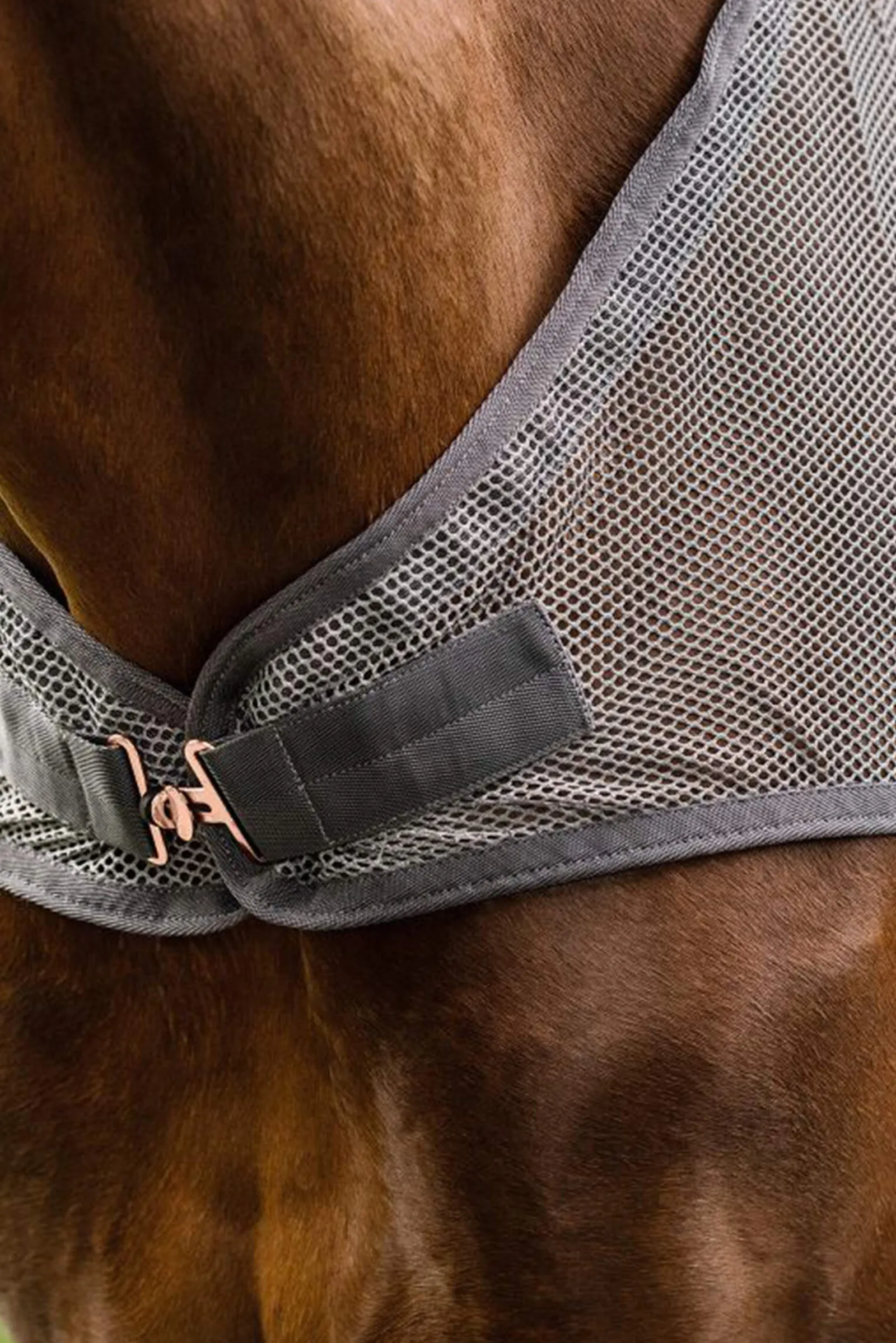 Fashion Comfort Fly-Horse Walker Rug Fly Rugs|Fly Rugs