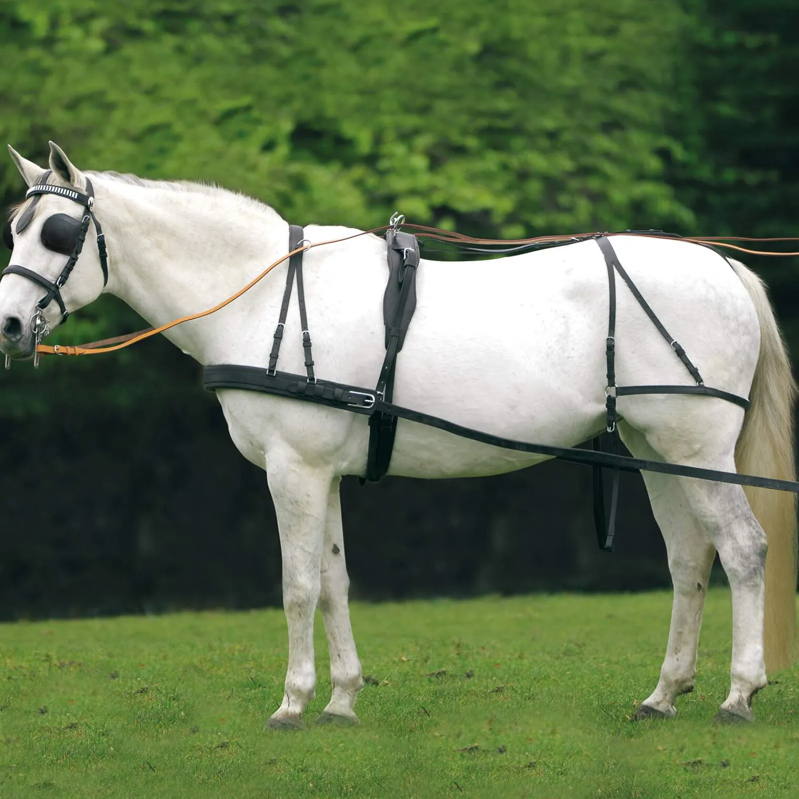 Discount Economic Single Harness Cob and Full Harness Kits