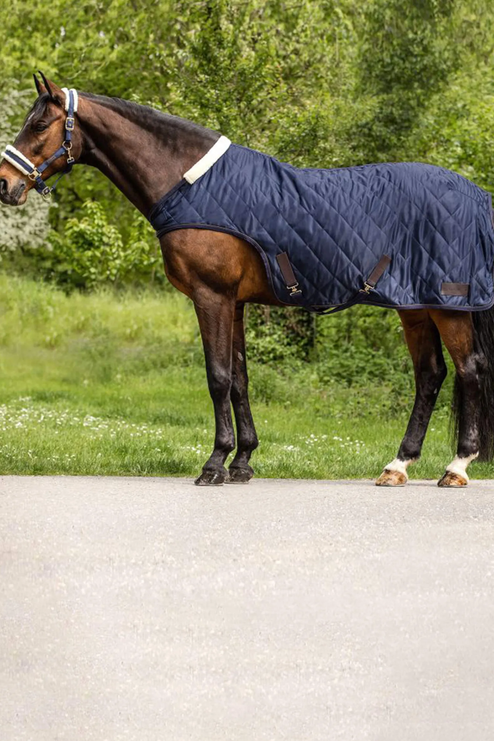 Sale Exclusive Horsewalker Sheet, 50g Walker Rugs