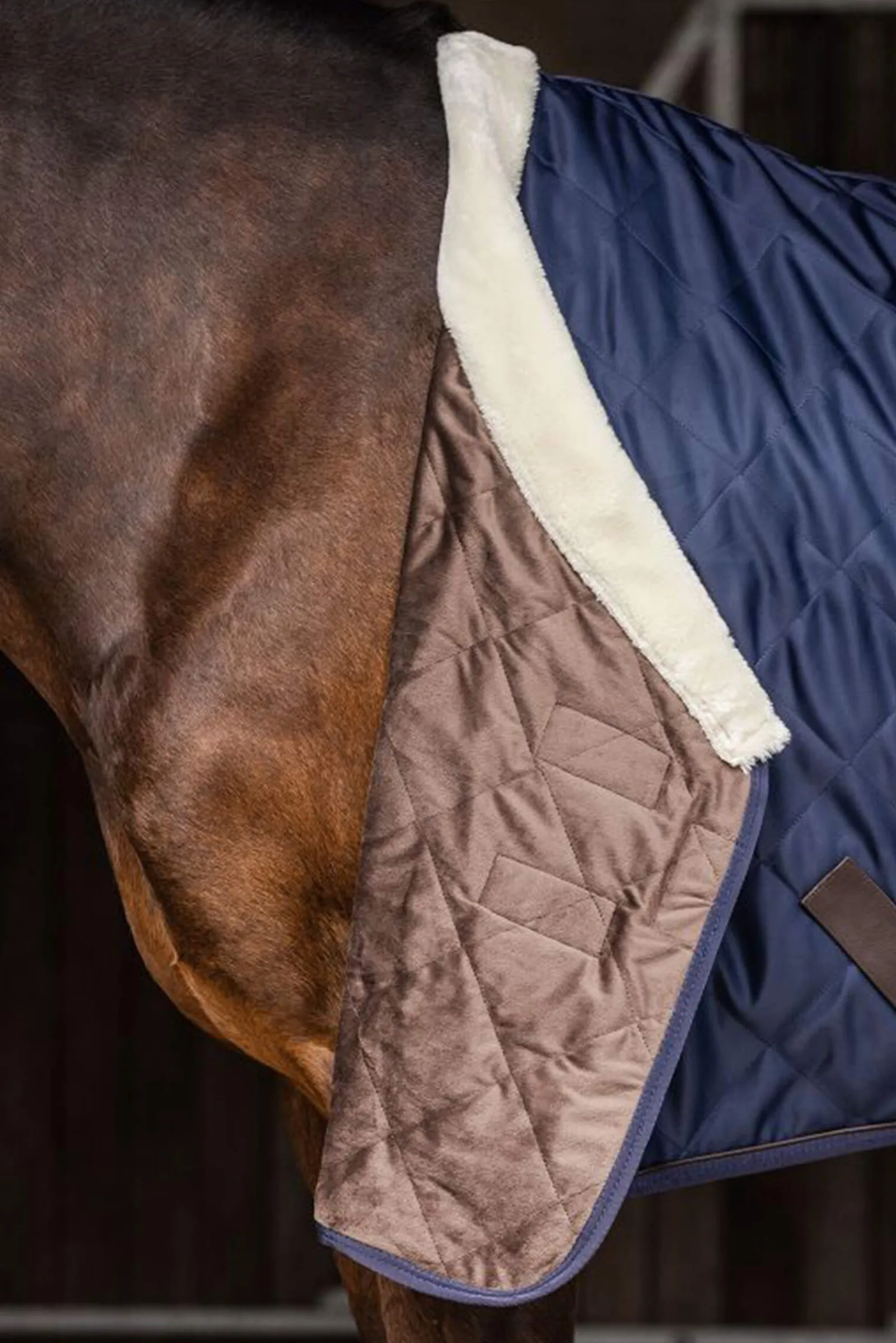 Online Exclusive Travel Rug, 50g Fleece Horse Rugs & Cooler Rugs